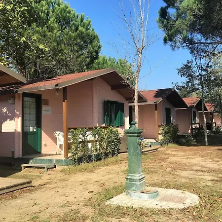 Holzchalet Mit Ueberdachter Veranda Und Terrassenmoebeln Auf Einem Schoenen Campingplatz * Viareggio