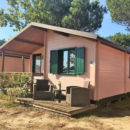 Tatil Evi Holzchalet Mit Ueberdachter Veranda Und Terrassenmoebeln Auf Einem Schoenen Campingplatz